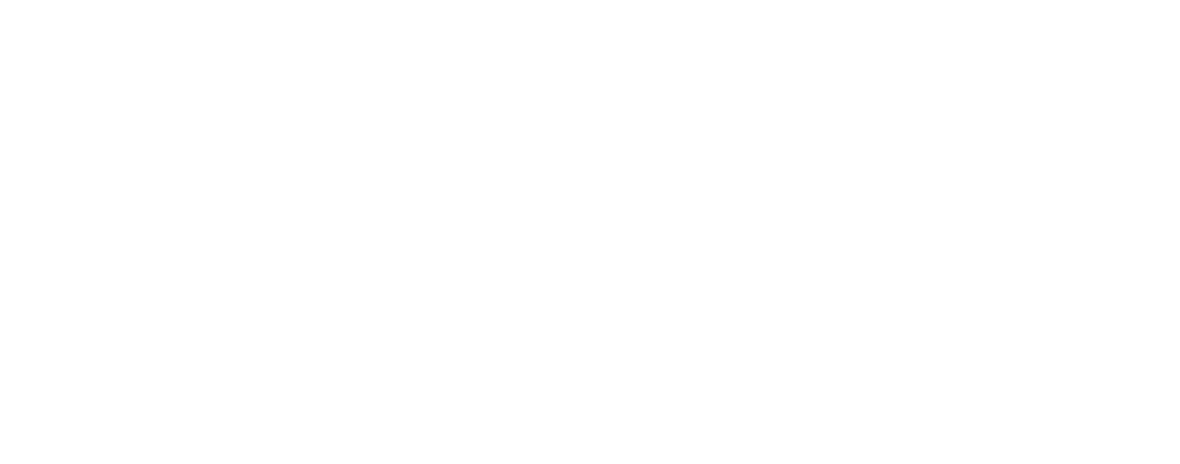 Binnenwerck logo wit